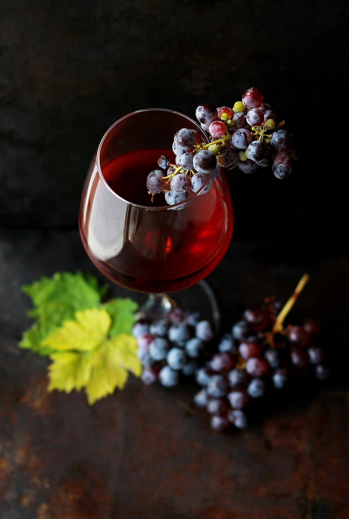 Harvest Season in the Douro: What to Expect